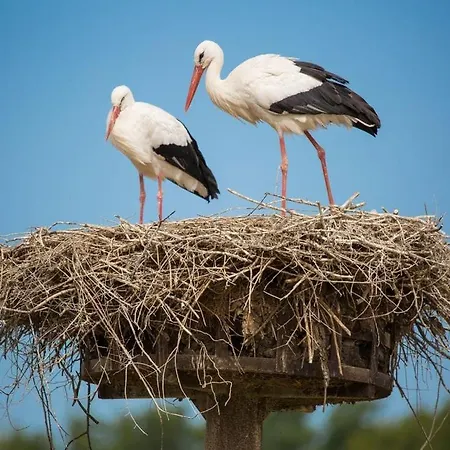 Maison De Charme à La Ferme La Petite Sabliere * Saint-Just-Luzac