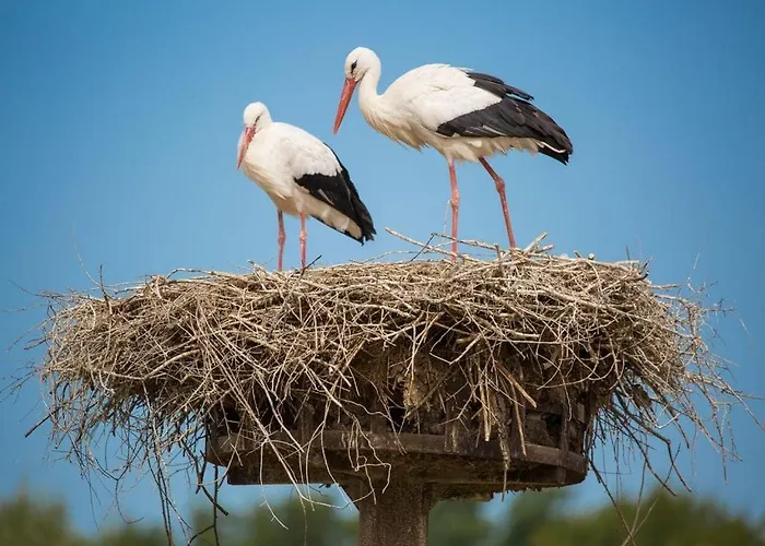 Maison De Charme à La Ferme La Petite Sabliere * Saint-Just-Luzac